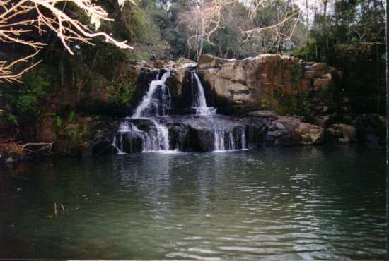paraiso5.jpg (27375 bytes)